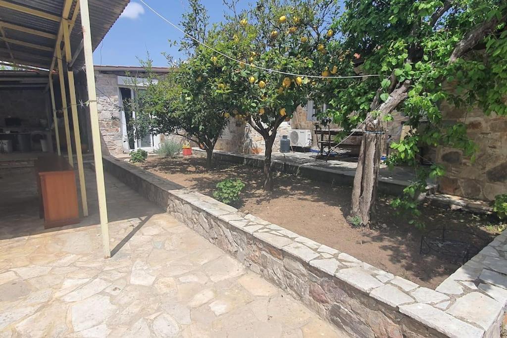 Confortable House In Nature Apartment Fofola Exterior photo